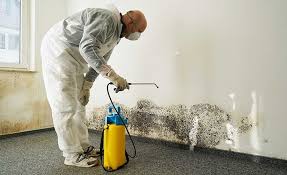 Biohazard Mold Removal in Eastover, NC