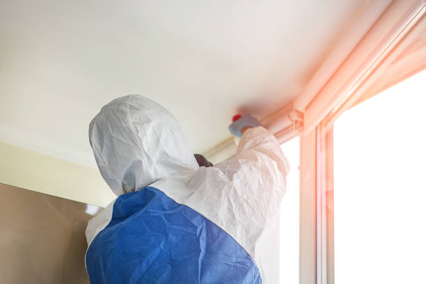 Mold Odor Removal Services in Eastover, NC